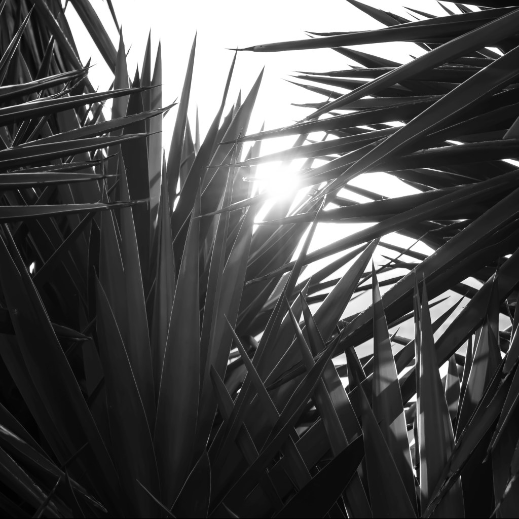 An Underrated Gem in Port&nbsp;Everglades