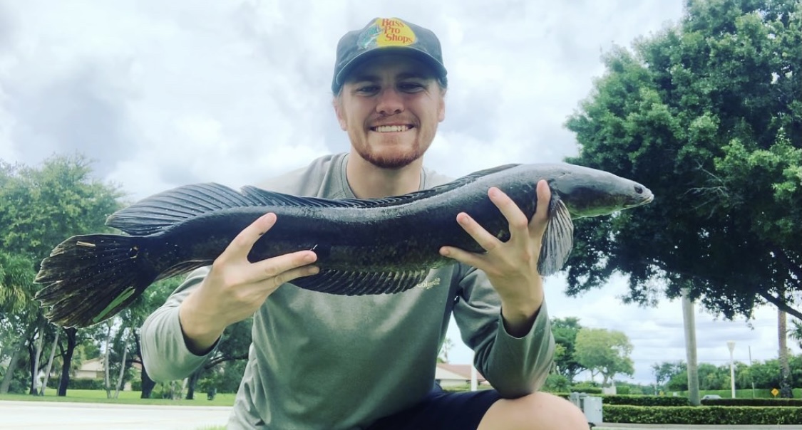 big Florida snakehead