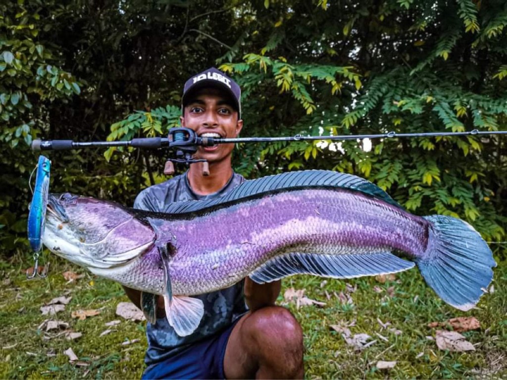 Snakehead Fishing Experiences (Feat. Jubel&nbsp;Matthew)