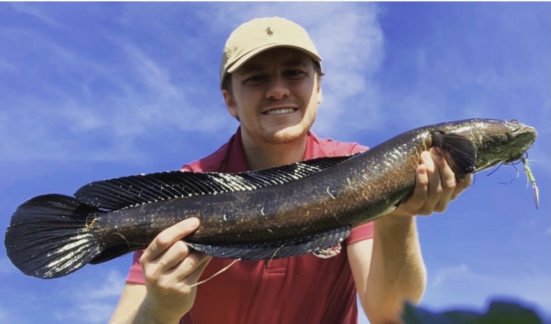 fishing for snakeheads
