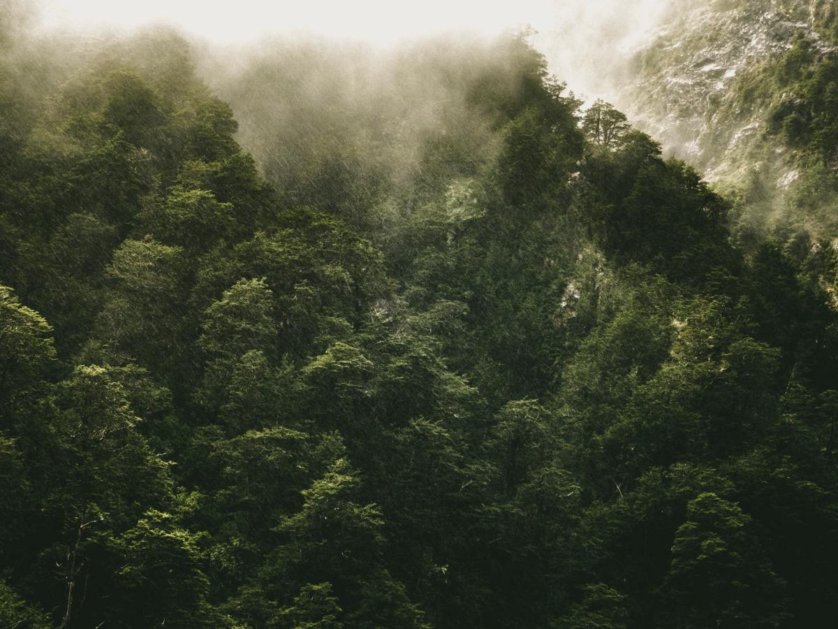 After the Forgetting be Forgot (Yorkshire&nbsp;Dales)