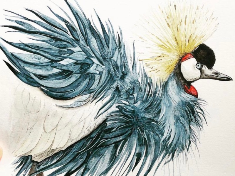 “Birds of the&nbsp;Marsh”