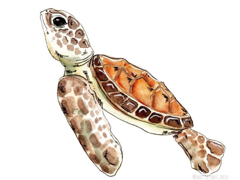 “Remember Nature”