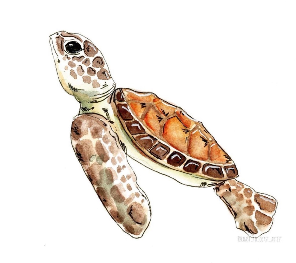 “Remember Nature”